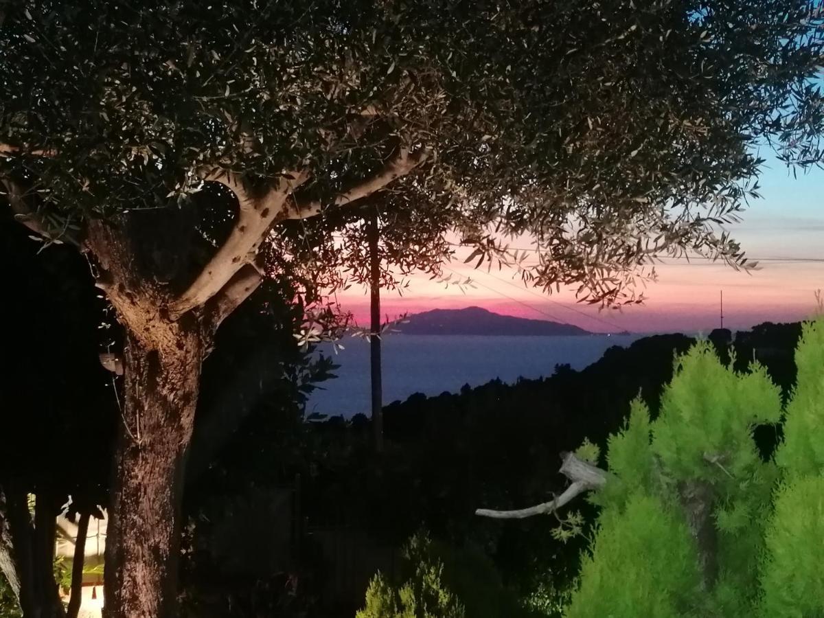 Hotel La Casa di Pitti Anacapri  Esterno foto