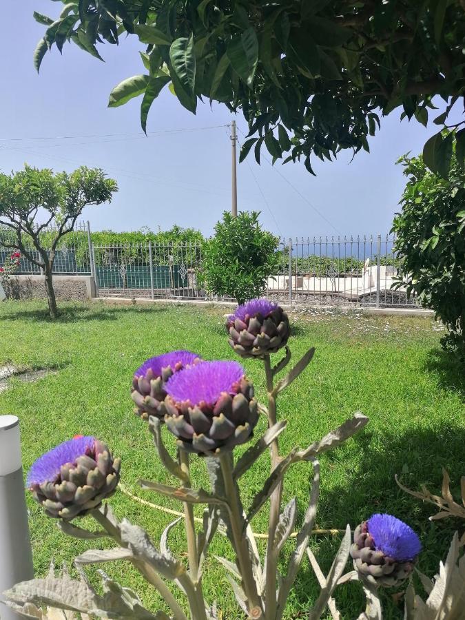 Hotel La Casa di Pitti Anacapri  Esterno foto