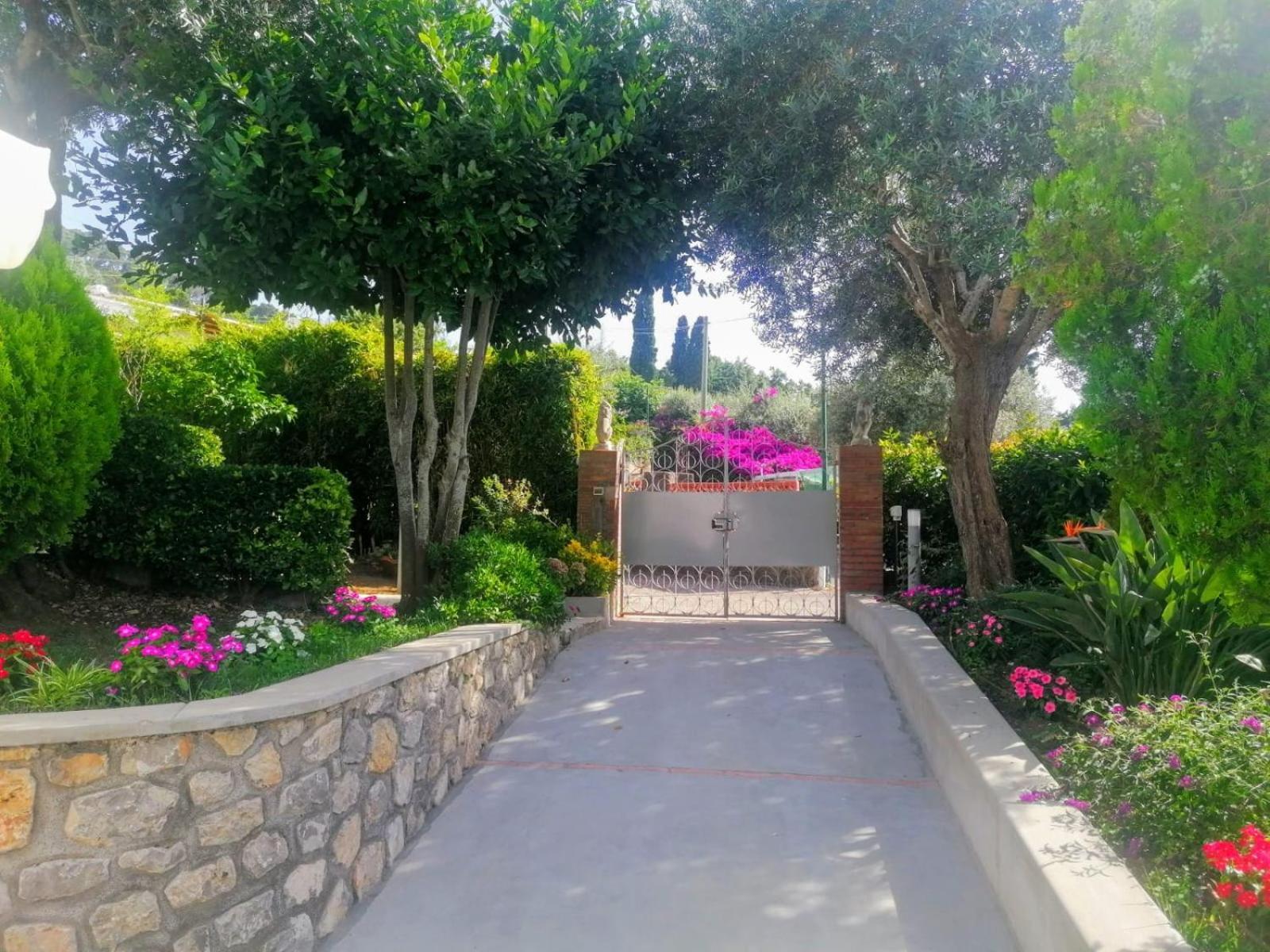 Hotel La Casa di Pitti Anacapri  Esterno foto
